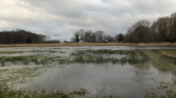 Die Fuhse überschwemmte Felder und Ortschaften